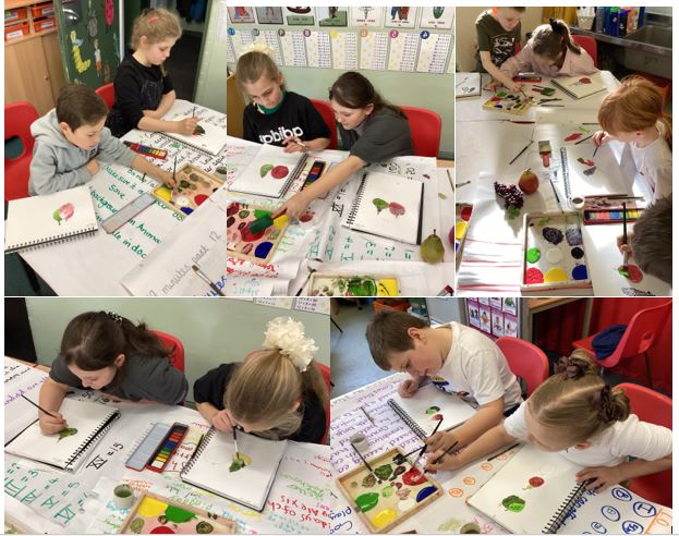 Year 4 - St Helens Aukland Community Primary
